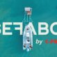 SEFABO motorized boat trailer is launching a boat into the water with no effort